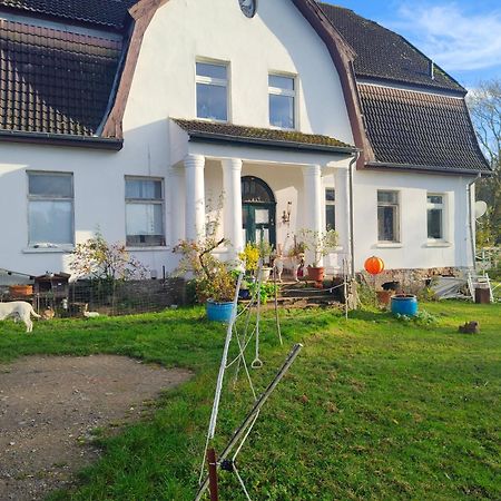Appartement Gutshaus Im Gruenen à Poseritz Extérieur photo